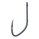 SHE01_HEAD10_2.webp