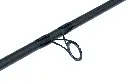 rsaa01_3.webp