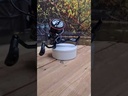 youtube - [Video]