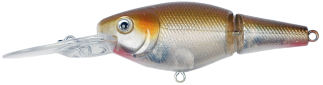 WOBBLER KONGER JOINTED ROACH 70MM FLOATING 1pcs