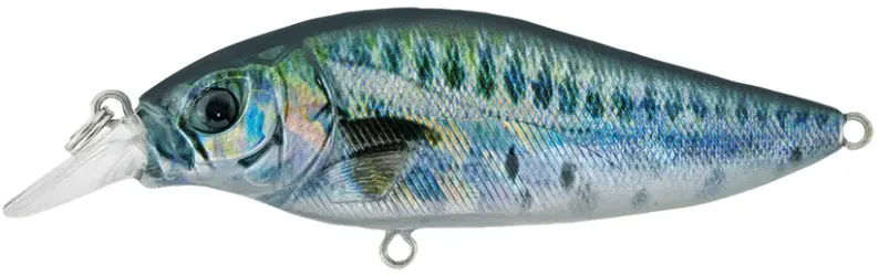 SHALLOW SHAD 80MM SSH 80F