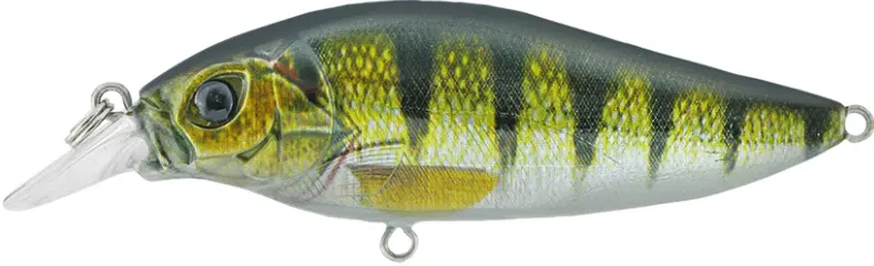 [324074001] SHALLOW SHAD 80MM SSH 80F