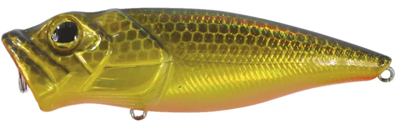 POP BASS PB 68TW