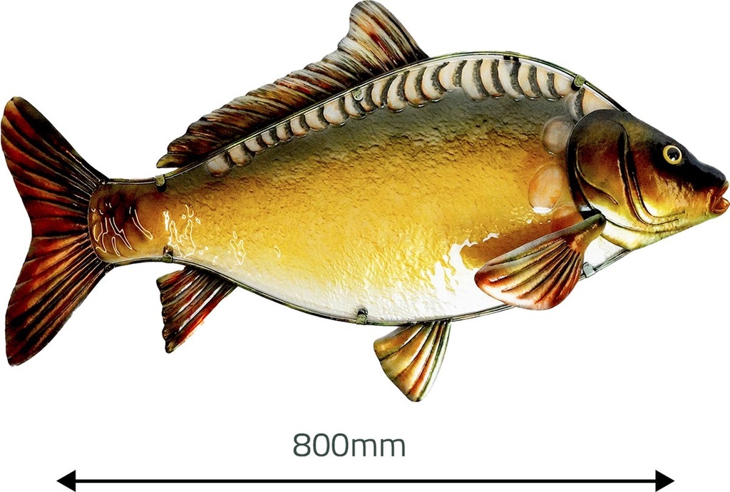 Eurocatch | Spiegel Karper | Decoración de pared 80cm | 3-D | Metaal en Glas | Decoración