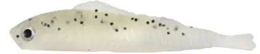 LUCKY SHAD 6cm COLOUR 02 BOLSA 10 PCS