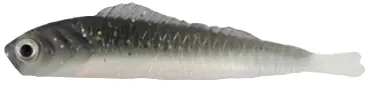 LUCKY SHAD 6cm COLOUR 23 BOLSA 10 PCS