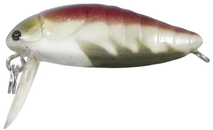 [324024027] POWER BUG 2,8cm S