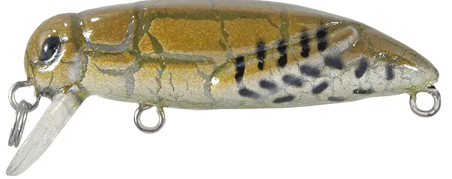 REAL HOPPER 3,7cm S