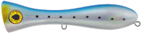 GT POP 20,5 CMGTP 205F