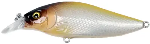 [324074007] SHALLOW SHAD 80MM SSH 80F