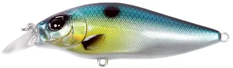 [324074008] SHALLOW SHAD 80MM SSH 80F